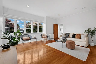 3 Garland Road, Greenlane, Auckland City