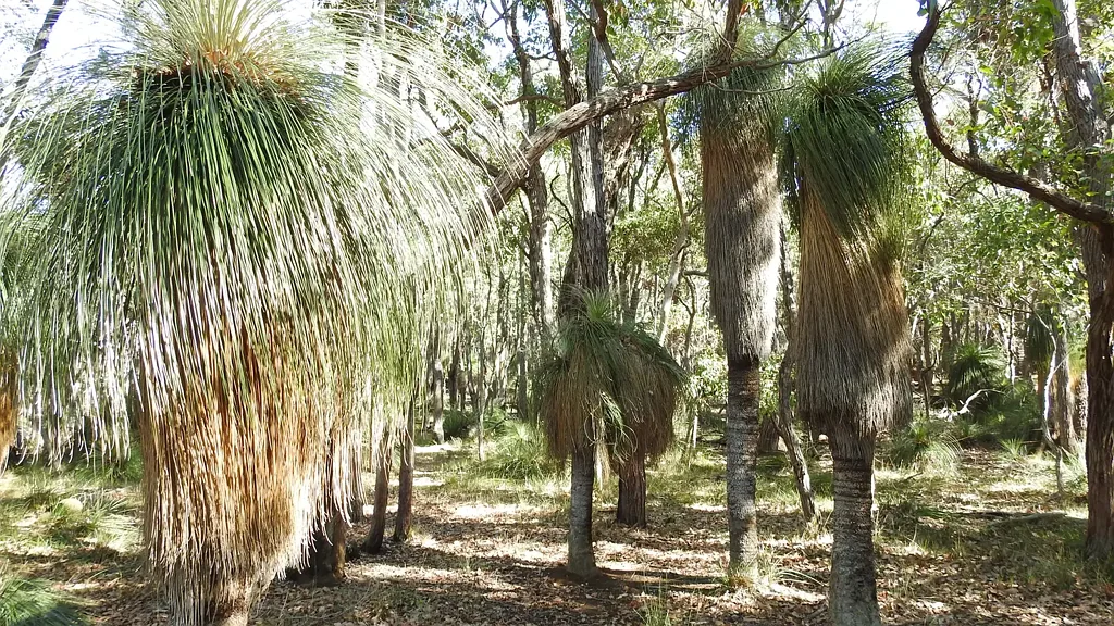 Busselton A lifestyle refuge awaits - 13.65ha