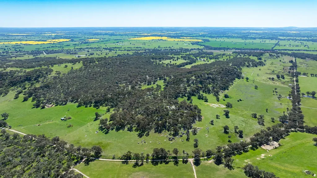 Springhurst "A Northeast Victorian Retreat - 233 Acres of Privacy, Beauty and Opportunity"
