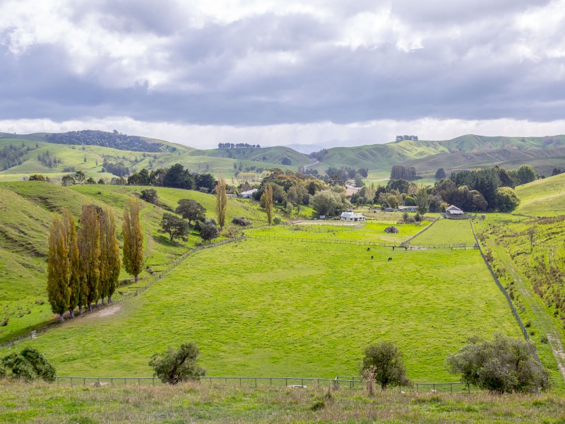 Longbush Road, Longbush, Carterton, 0房, 1浴