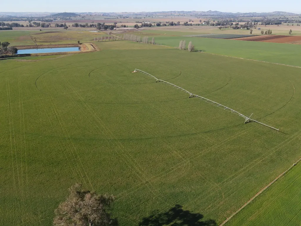 Canowindra 100% Production