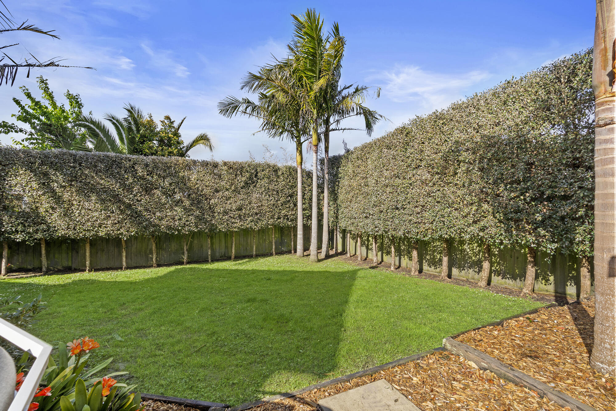2 Stredwick Drive, Torbay, photo 14