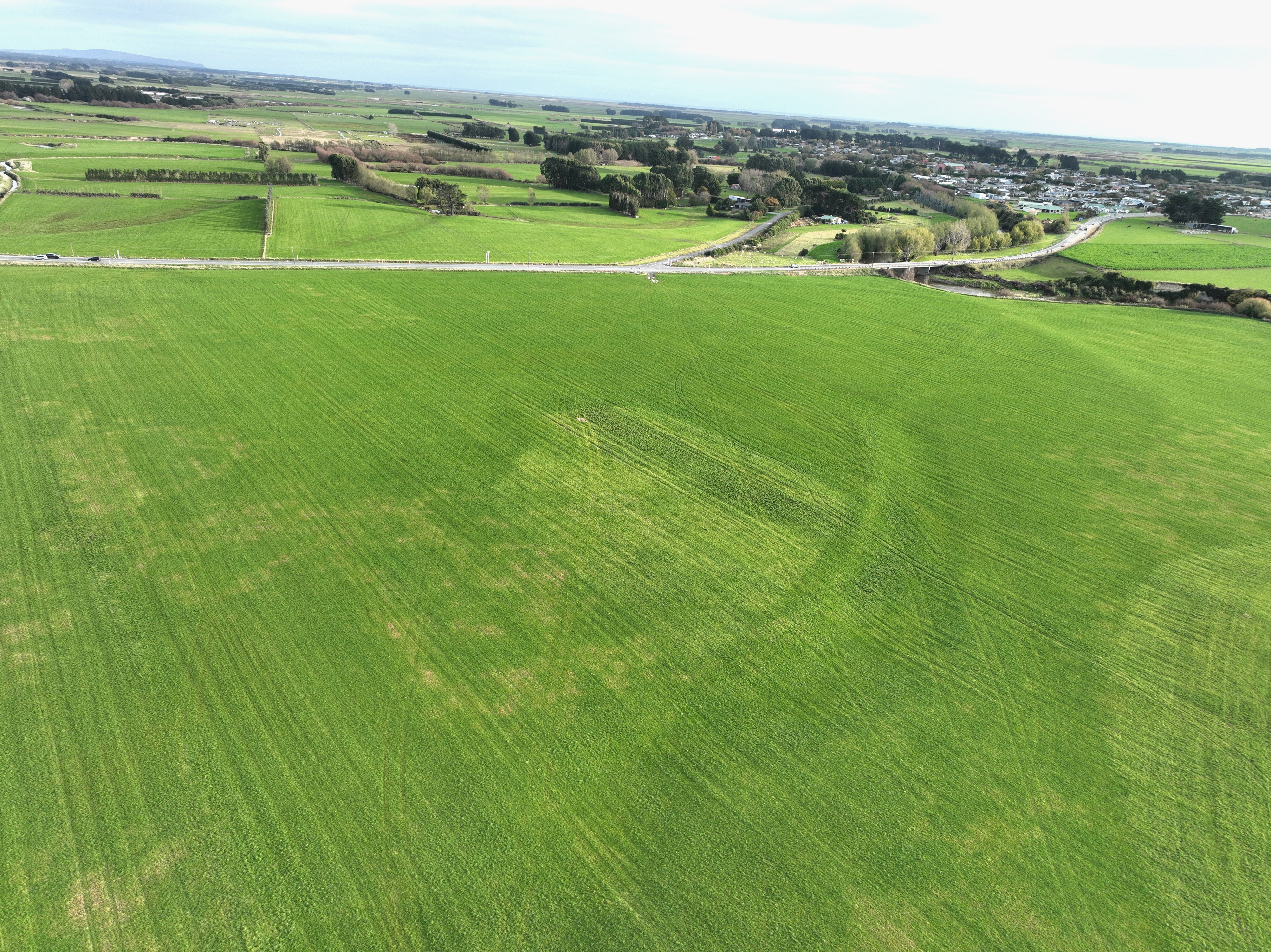 390 Wallacetown Lorneville Highway, Makarewa, Southland, 0 rūma, 1 rūma horoi, Cropping