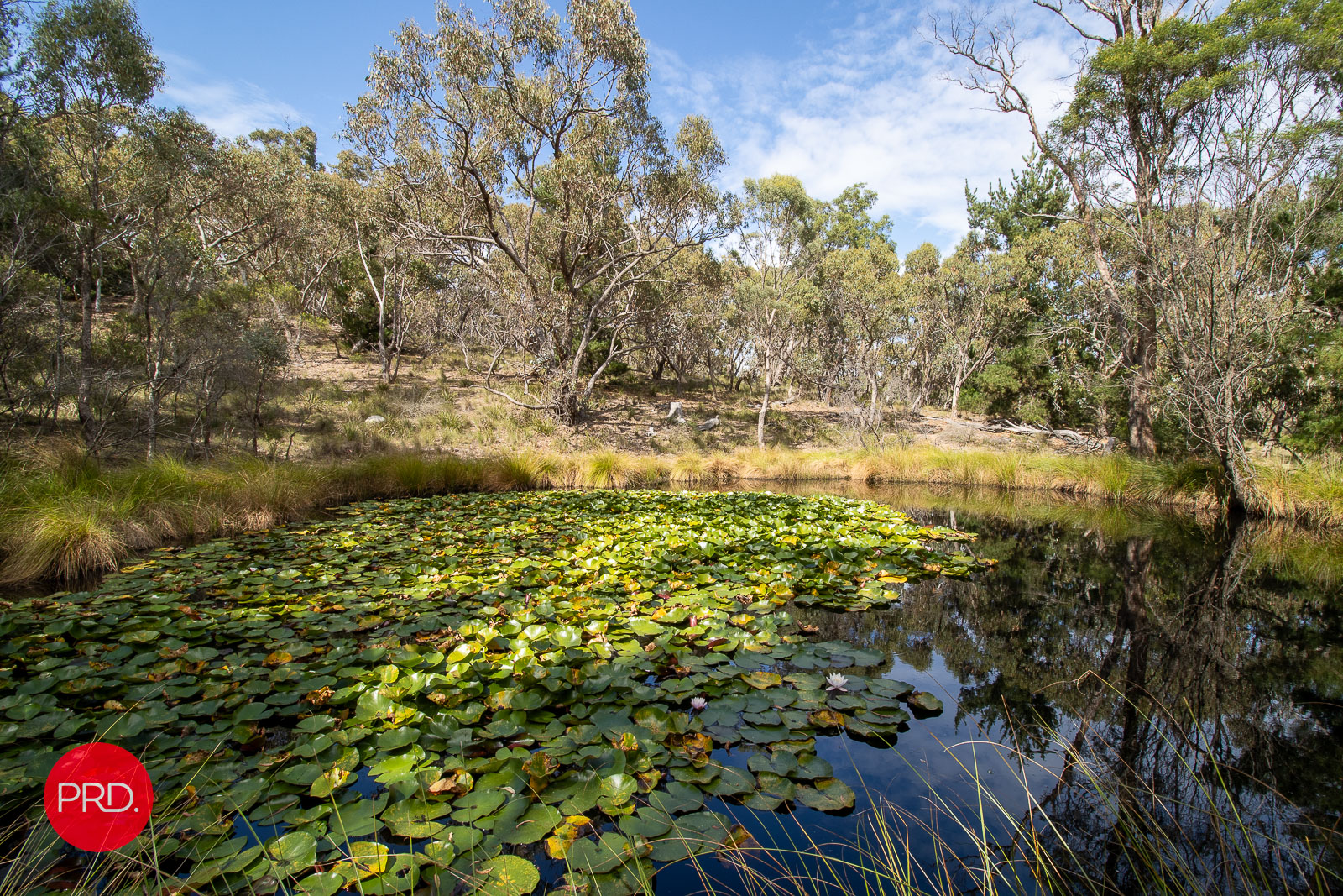 290 DONNELLY RD, BYWONG NSW 2621, 0 phòng ngủ, 0 phòng tắm, Lifestyle Property