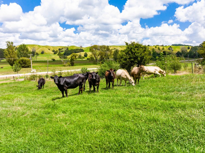 1586 Omana Road, Tangiteroria, Kaipara, 0房, 1浴