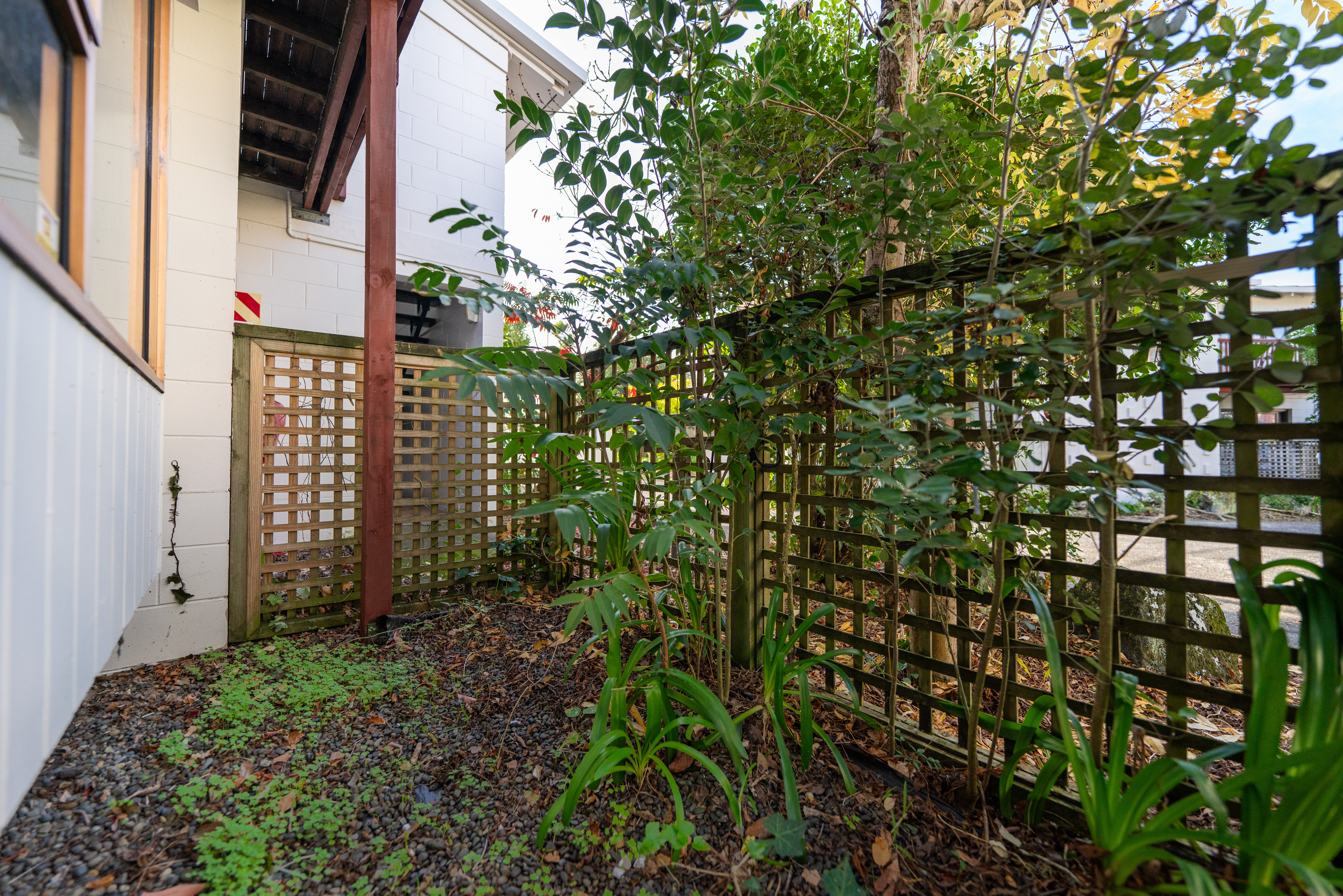 11/697 New North Road, Mount Albert, Auckland, 1部屋, 1バスルーム, Unit