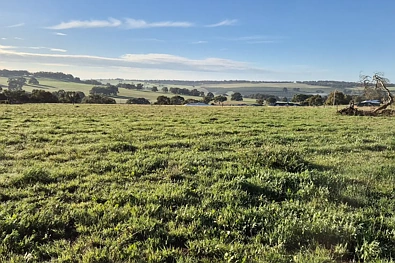 LOT 152 Warru Road, Ginginup, WA 6503, 0 Schlafzimmer, 0 Badezimmer, Section