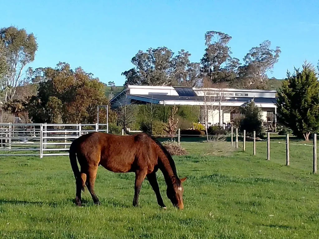 945 Howes Creek Road, Mansfield, VIC 3722