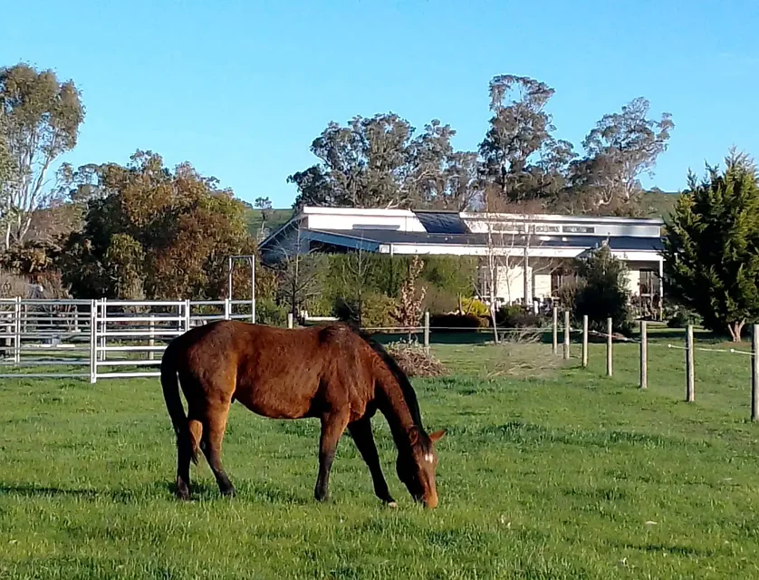 945 Howes Creek Road, Mansfield, VIC 3722, 3 कमरे, 2 बाथरूम, House