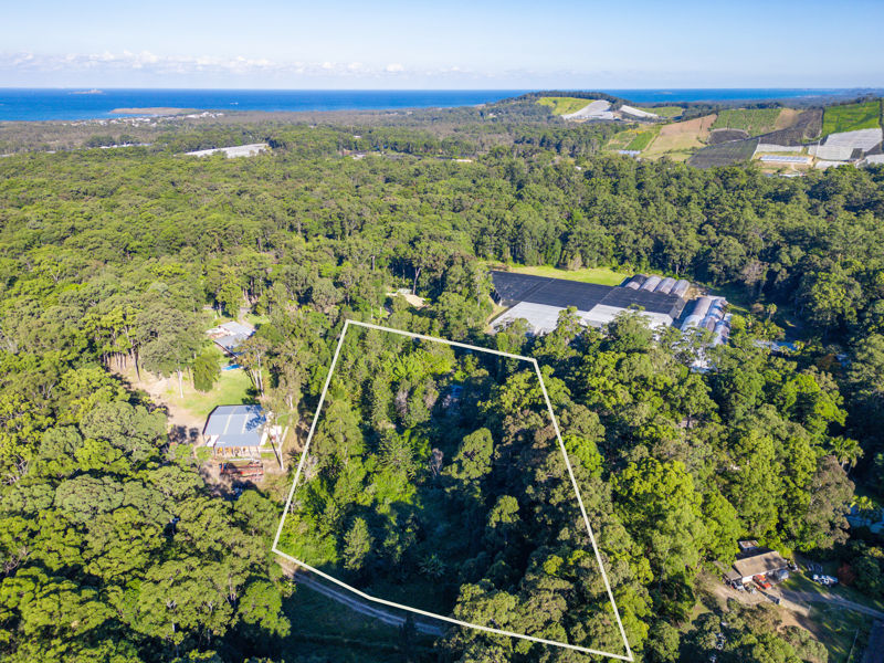 110 MORGANS RD, SANDY BEACH NSW 2456, 0 Schlafzimmer, 0 Badezimmer, Lifestyle Property