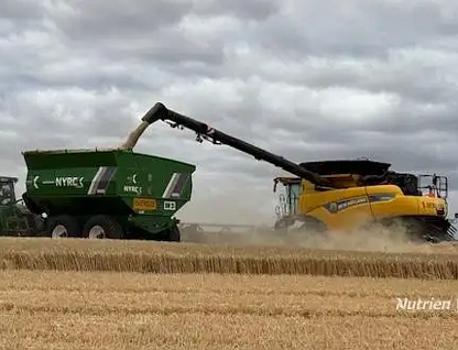 . Mt Burdett & Knuckle Downs, Esperance, WA 6450, 0 slaapkamers, 0 badkamers, Lifestyle Property