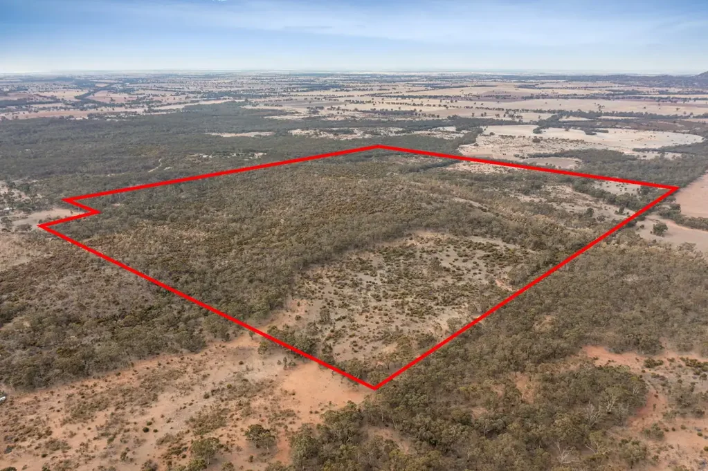 Wedderburn  322 Acres – Dams – Privacy – Potential