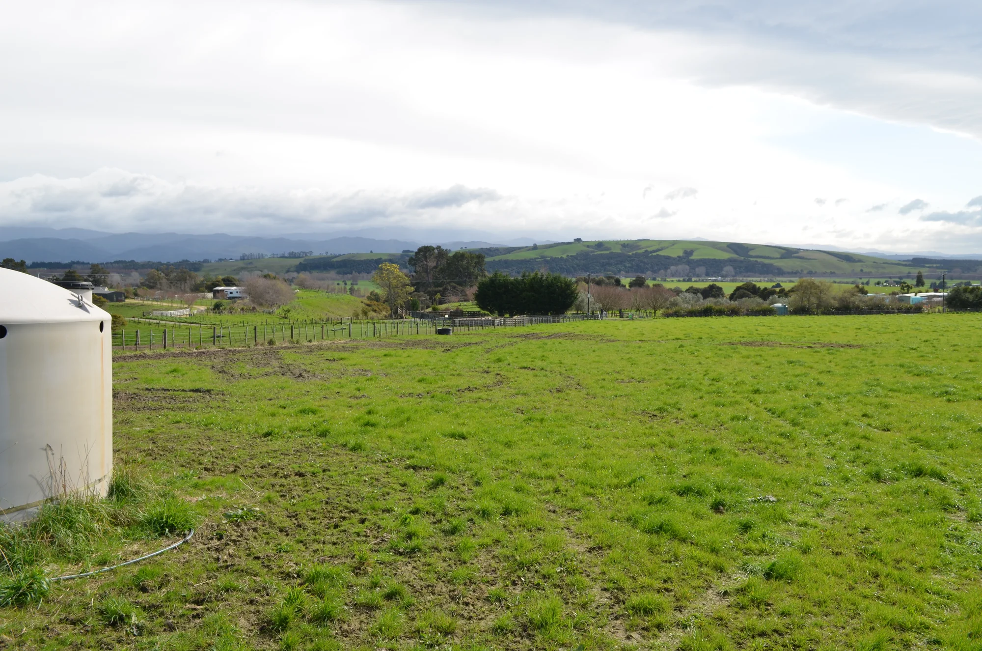 Gladstone Quintessential Wairarapa