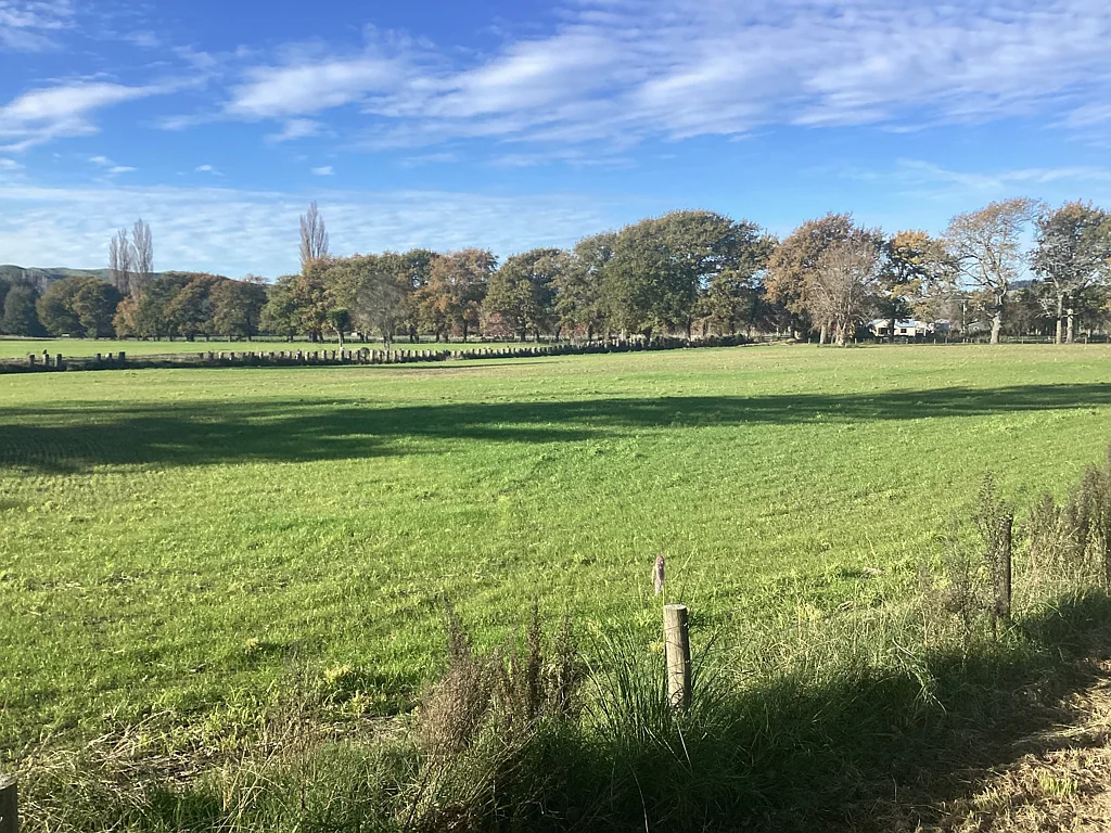 Puketapu Opportunity In Dartmoor