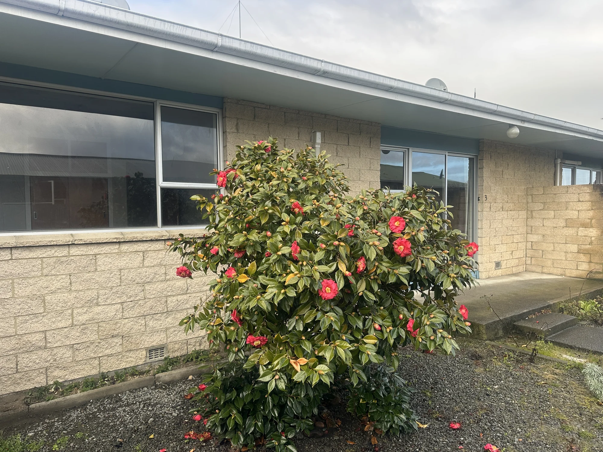 Ashburton 2房 Rest or Invest