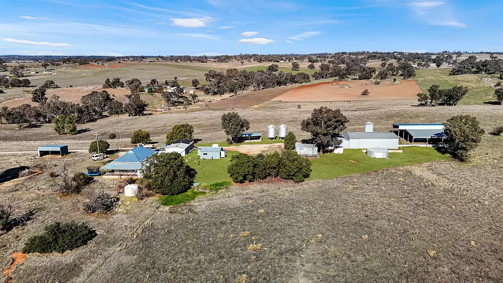 Young 'KAMBAH'