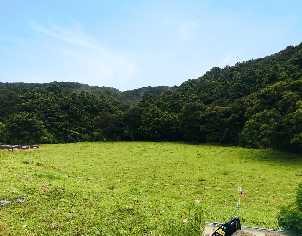 Owhiwa Road, Parua Bay, Whangarei, 0房, 1浴