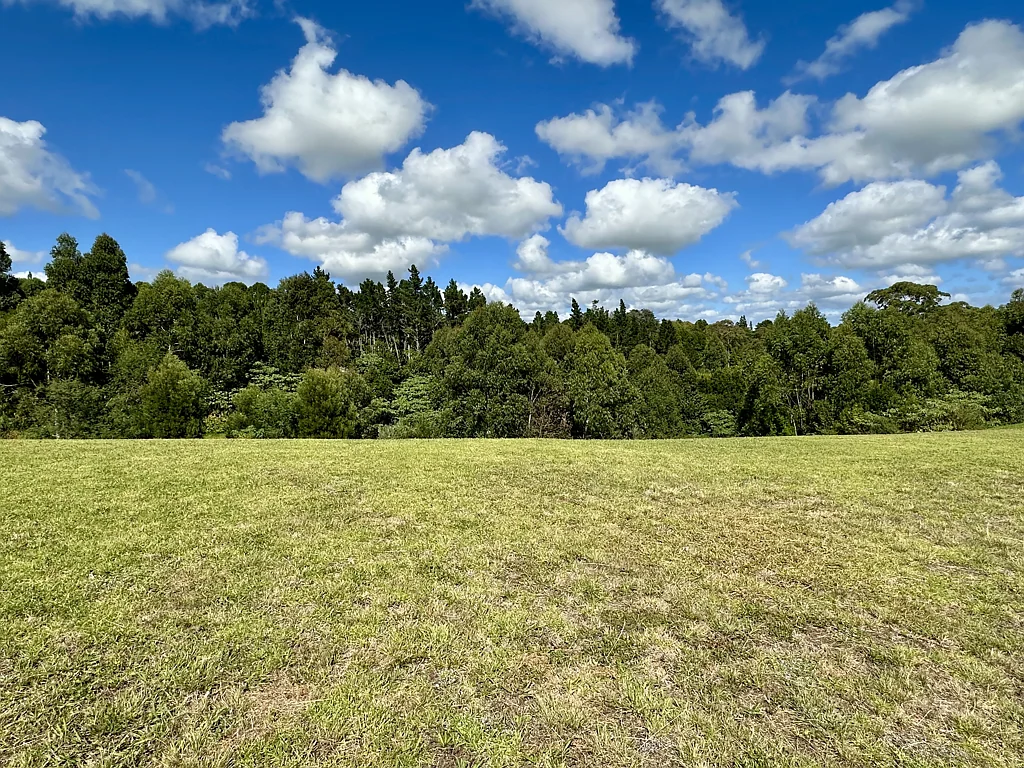 Kerikeri A PERFECT CANVAS - SO CLOSE TO TOWN