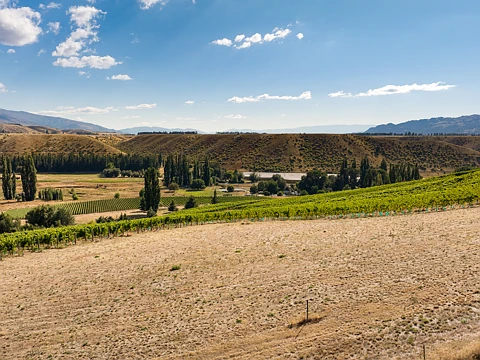 Cromwell Rare opportunity – Your slice of pinot paradise