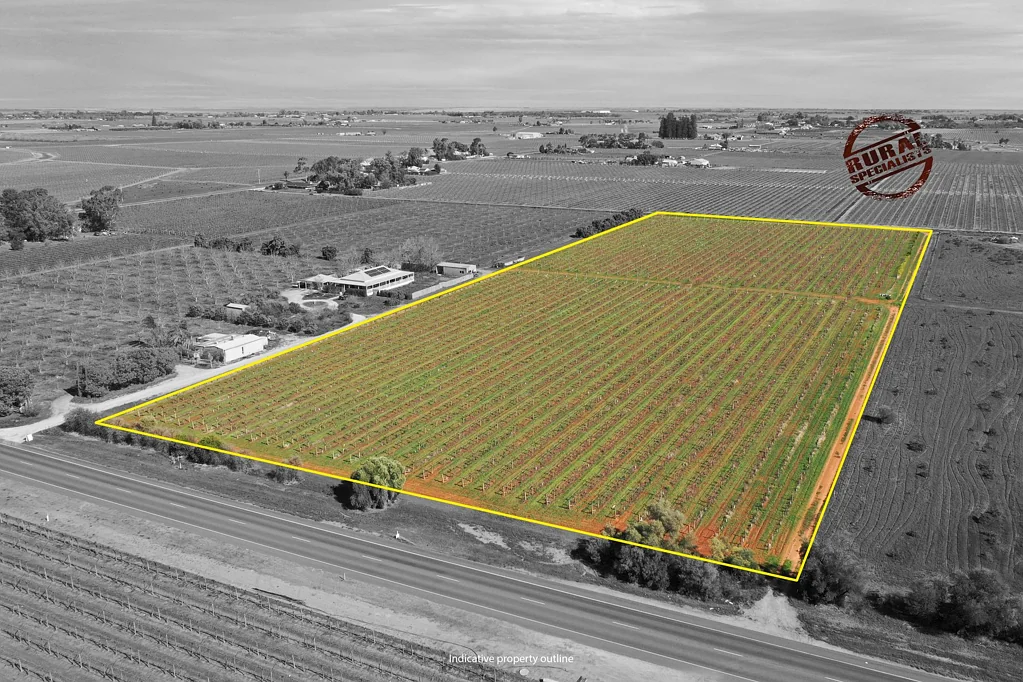 Merbein South DESIRABLE TABLE GRAPE VINEYARD
