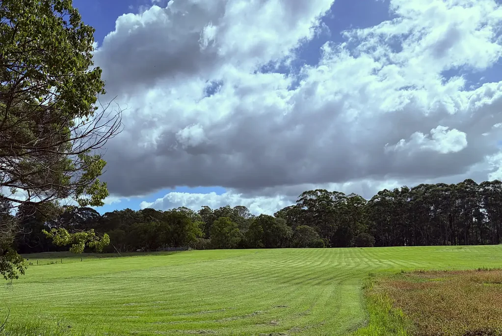 Mardi 4.6 Acres of Riverfront Reserve Land. A Slice of Heaven on Earth.