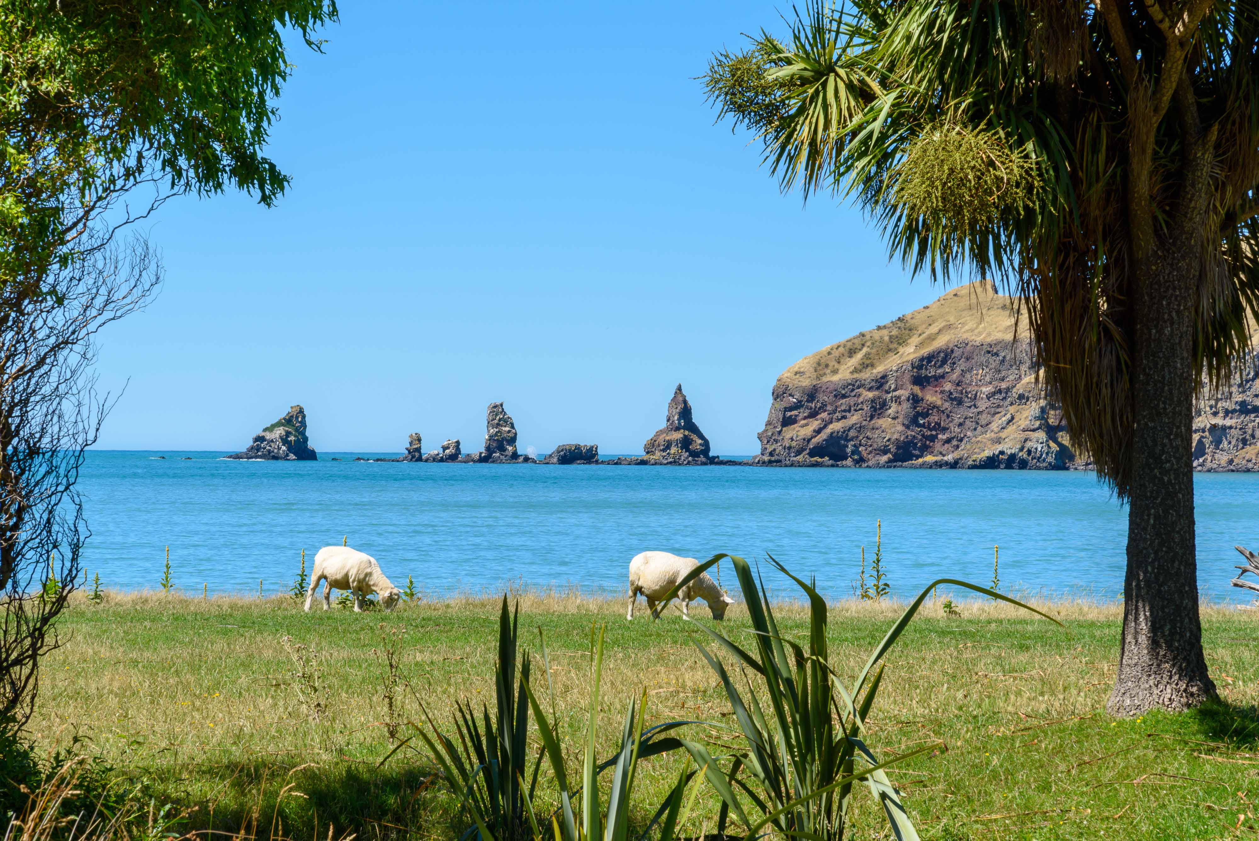 Rural Banks Peninsula