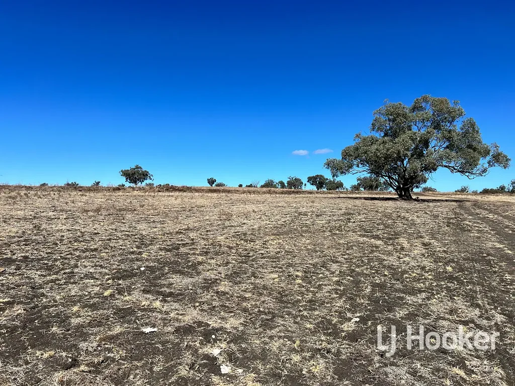 Inverell 'Wyreema Part' Leaders Lane, DELUNGRA NSW 2403