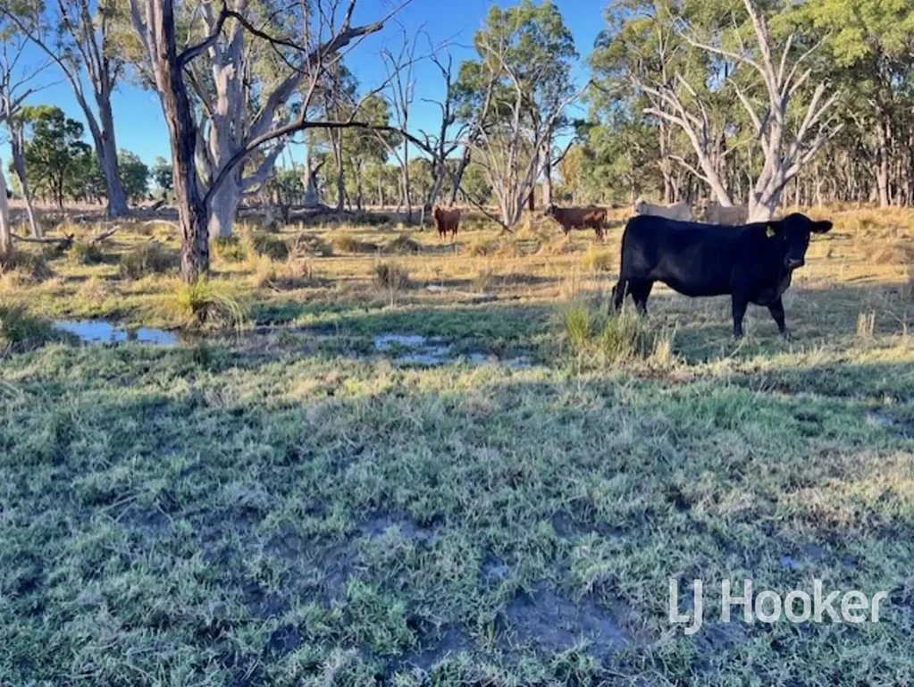 Inverell 'Merlin' 296 Limestone Road, ASHFORD NSW 2361