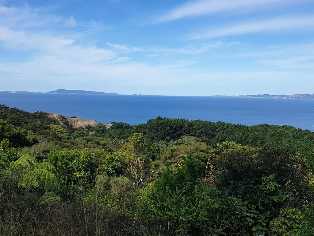Tuateawa Create Your Own Piece Of Paradise