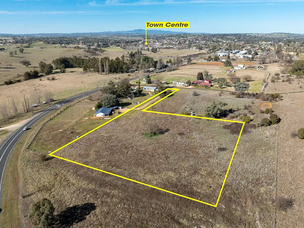 Molong Canvas to Create!