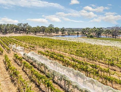 1081 Schoolhouse Lane, Heathcote, Wangaratta, 0 rūma, 0 rūma horoi, Lifestyle Property