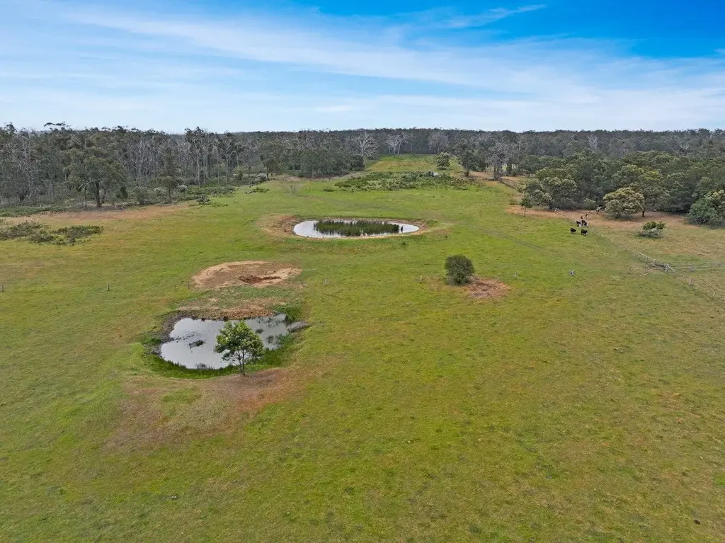 Stradbroke 100 acre mixed bush and pasture with potential for home