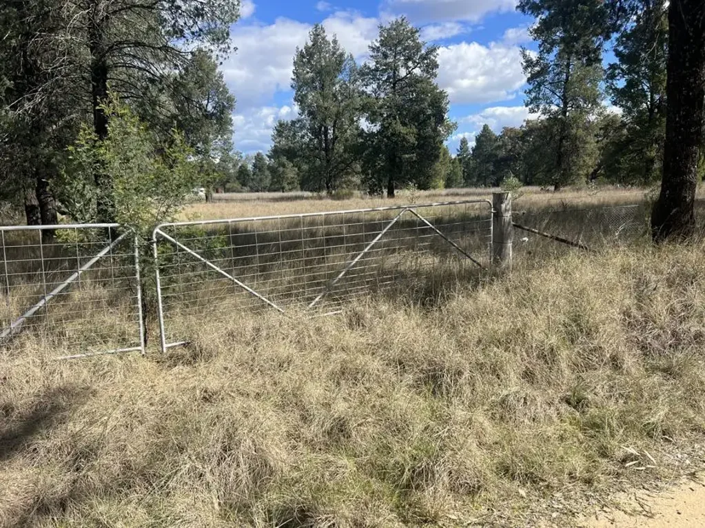 Baradine Lots Potential