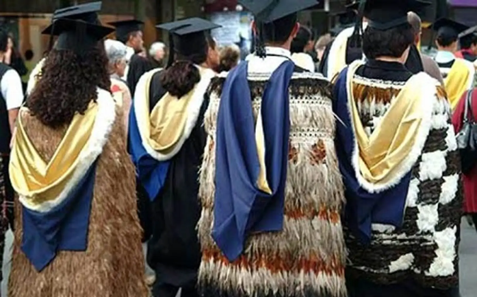 超过贷款年限，新西兰医学院学生面临辍学挑战！