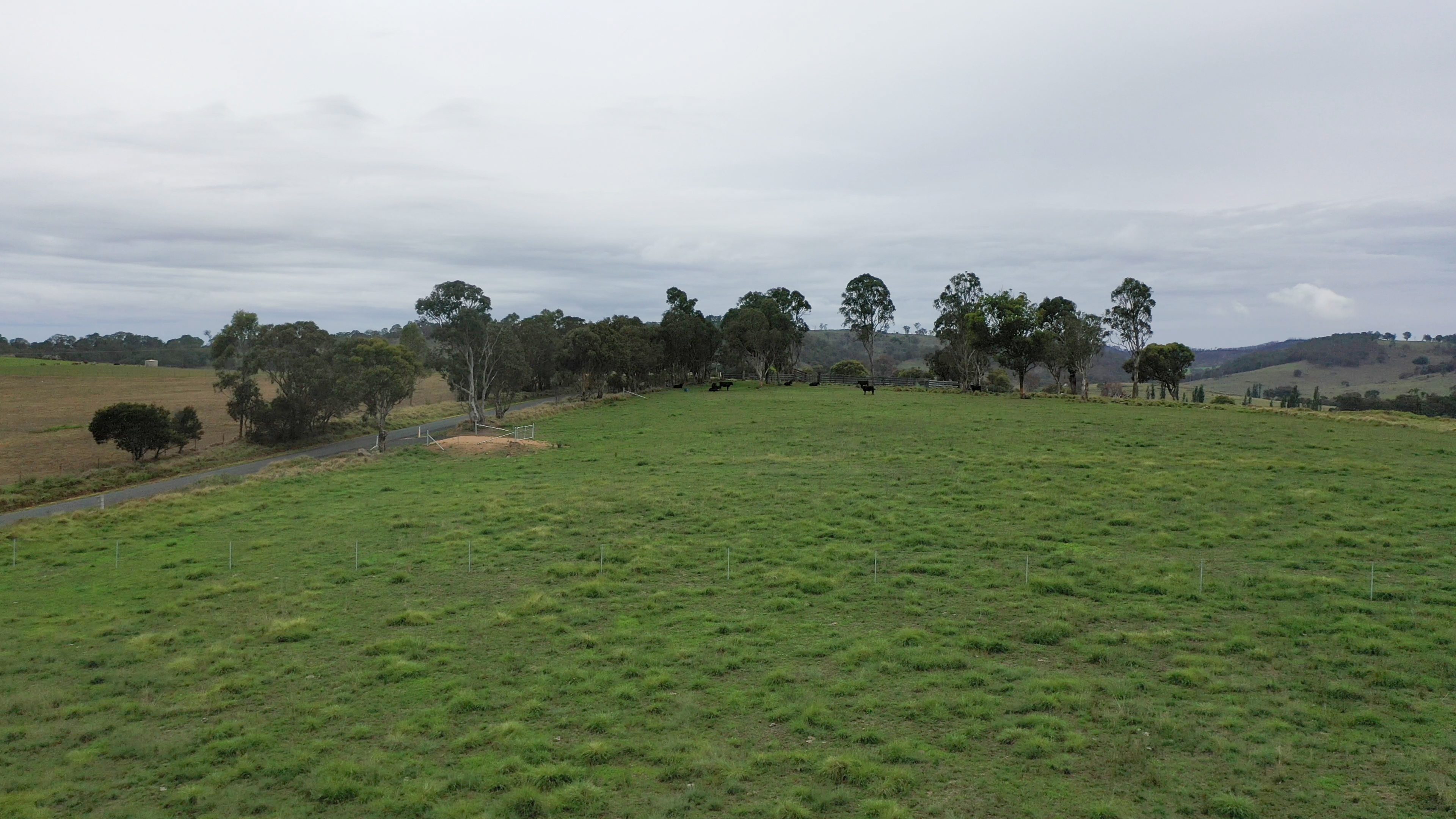 57 BRYANS GAP RD, TENTERFIELD NSW 2372, 0 habitaciones, 0 baños, Section