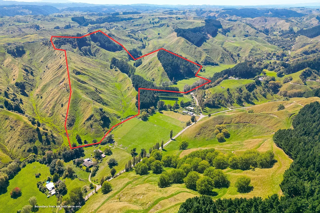 Okoia 41.56 hectares of opportunity!