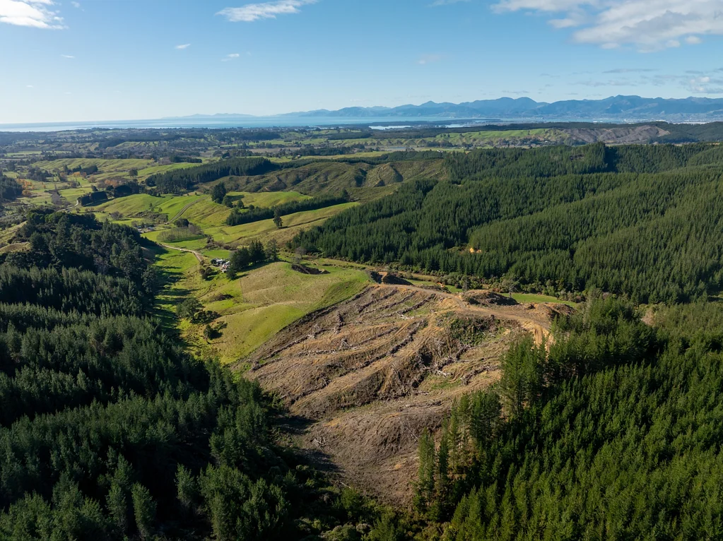 Upper Moutere  Big Views, Big Opportunity Without the Big Dollars