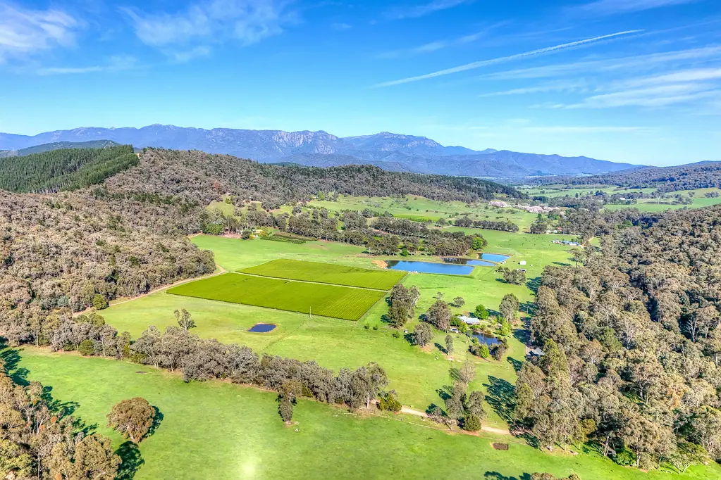 Bright 55 Acres, Green Tea Planation, A Wonderful Lifestyle Opportunity Awaits