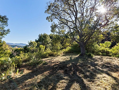Lots 23 & 24, 340 Old Lismore Road, Byangum, North Coast, 0 Kuwarto, 0 Banyo, Section