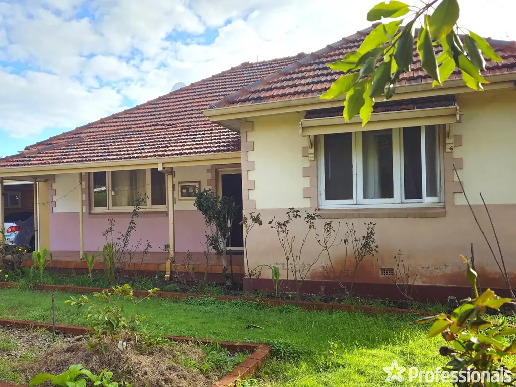Bassendean 4 Bedroom Bassendean's Golden Opportunity!