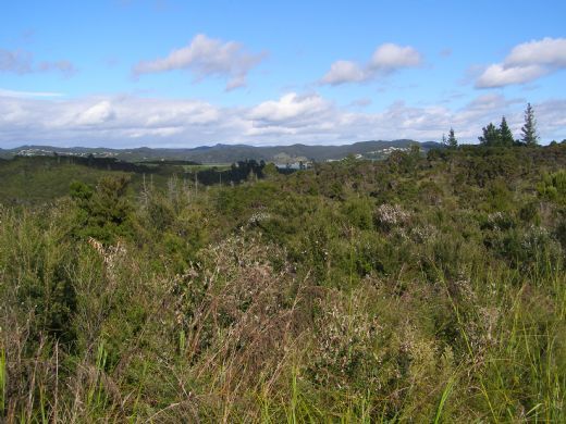 Te Wahapu Road, Russell, Far North, 0 침실, 1 욕실