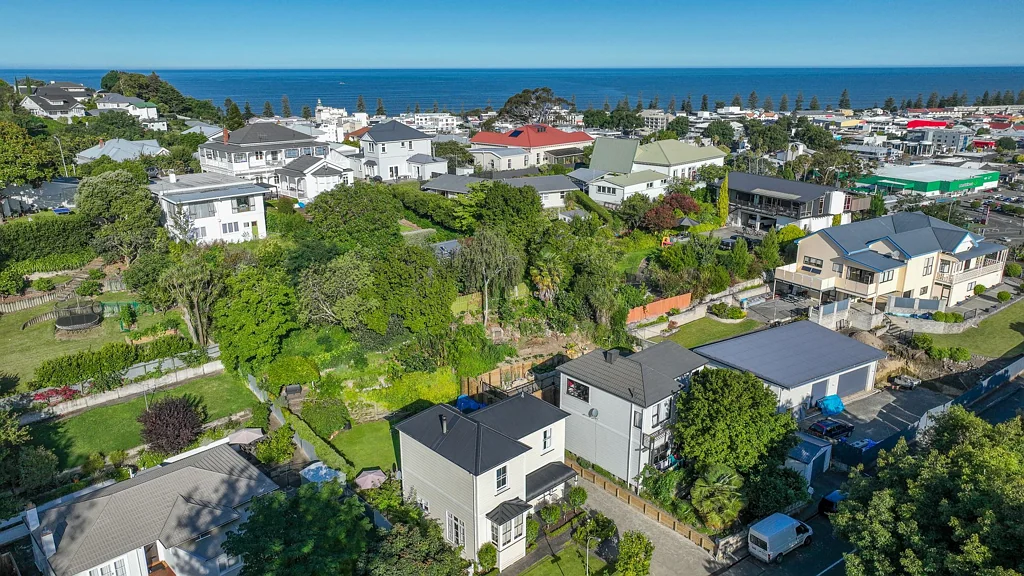 Napier Hill 4房  Flexible Living with Income Potential