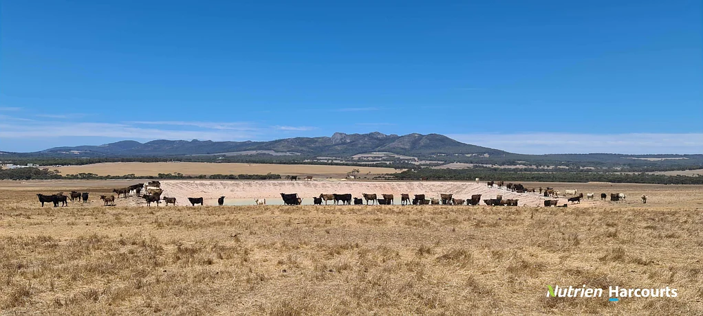 Porongurup Very Productive Broadacre Property with Mountain Views!