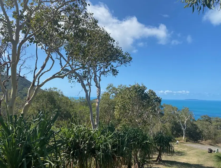 Lot CV Awesome Blue, Keswick Island, Mackay, Mackay, 0 habitaciones, 0 baños, Section