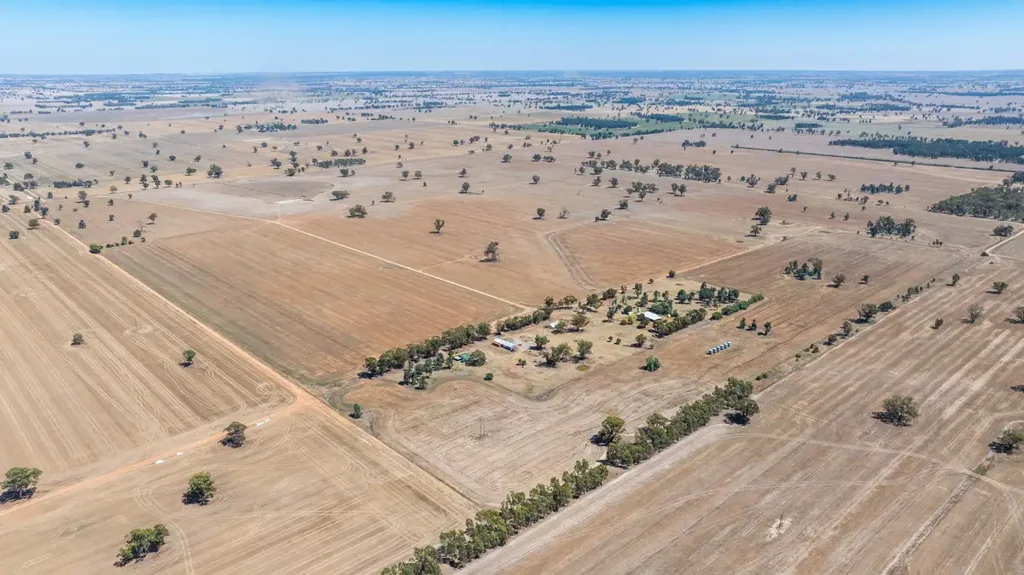 518 Drain Lane, Collendina, NSW 2646