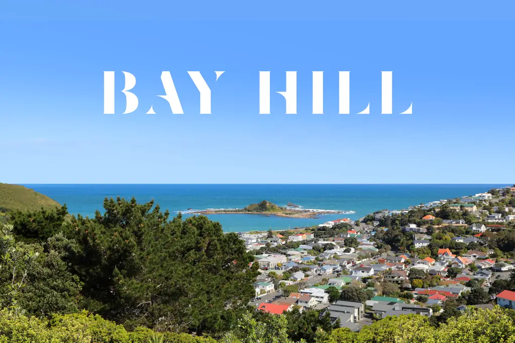 Island Bay SECTIONS ON WELLINGTON'S SOUTH COAST