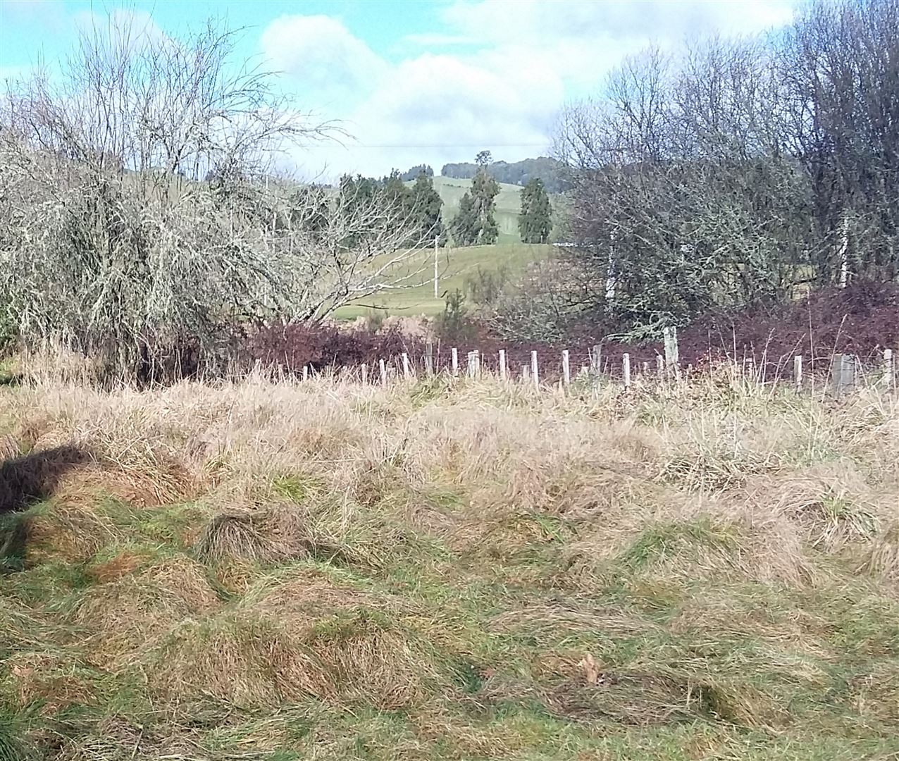 32 School Road, Benneydale, Waitomo, 0 રૂમ, 0 બાથરૂમ