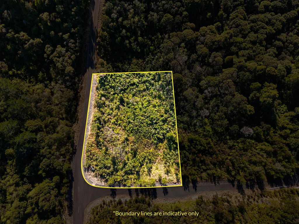 Dairy Flat  Escape to Luxury: 2000+ sqm with Approved Plans