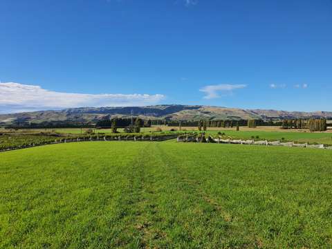 Waipara  Panoramic views - productive vines