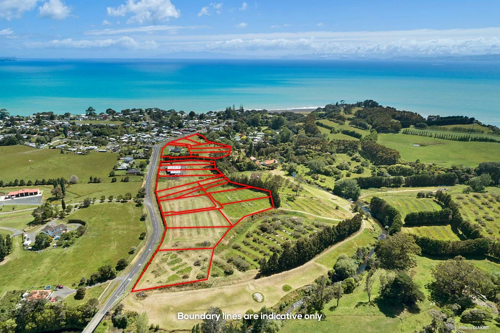 Orere Point Price Reduction. Must Be Sold!